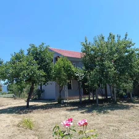 Brankolari